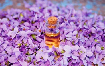 Виолетово етерично масло